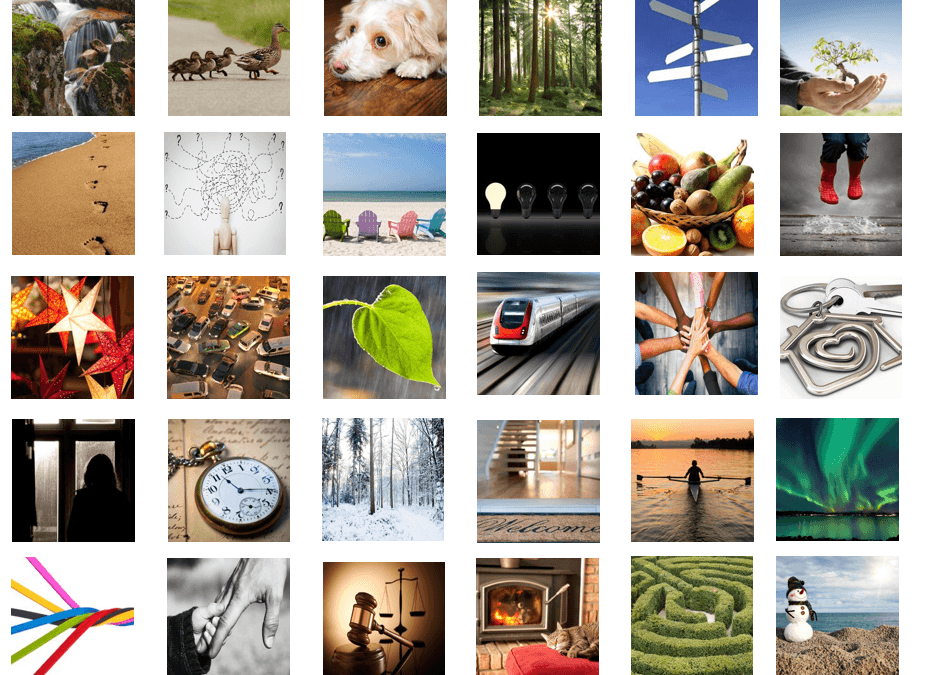 Visual Inquiry/ Images
