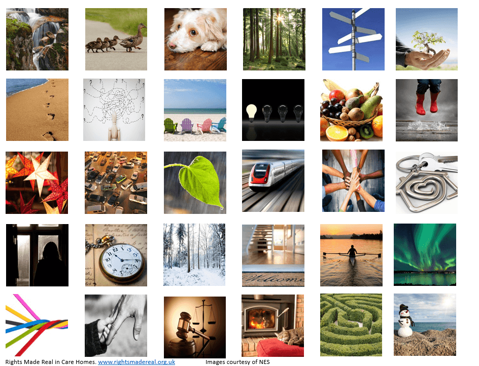 Visual Inquiry/ Images